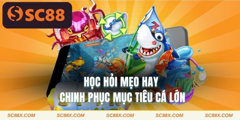 Học hỏi mẹo hay chinh phục mục tiêu cá lớn